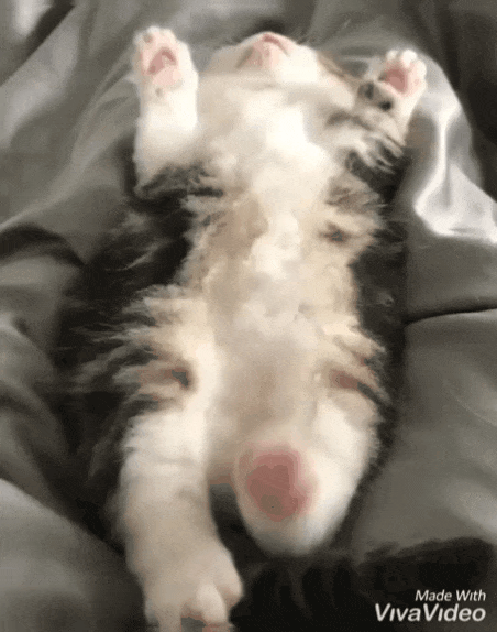 Я убегу от тебя, пылесос!