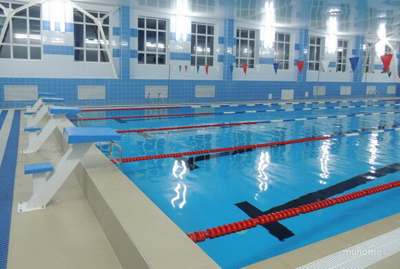 Источник Яндекс