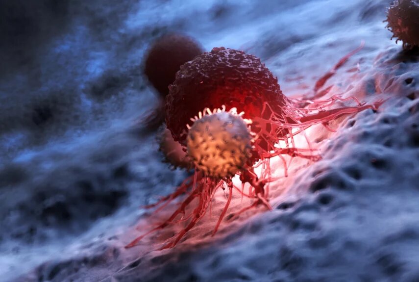 Фото: shutterstock.com