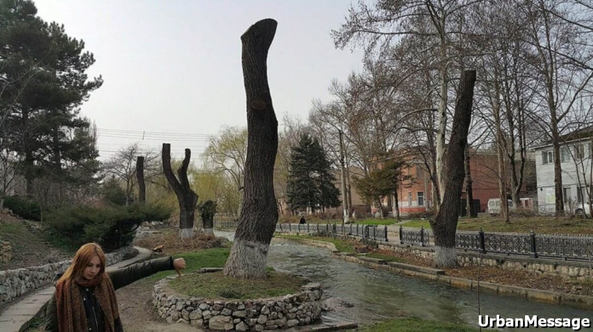 дизлайк думаю поставит каждый, когда увидит это убожество