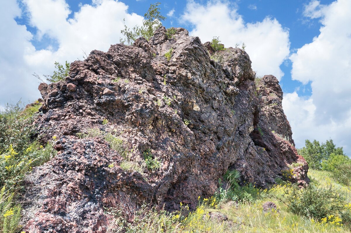 Горельник горы "Ленинской"