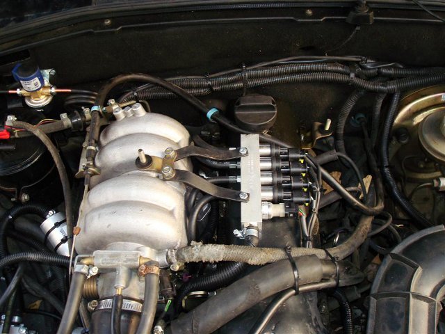 Фото: Яндекс.Картинки