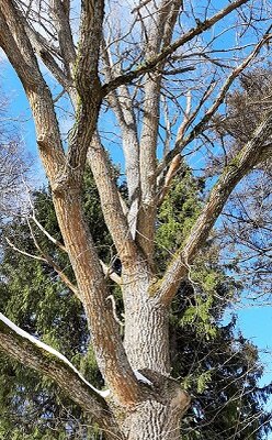 Природа радует глаз и лечит душу