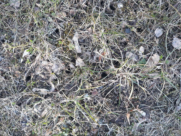 Рига, 8 апреля 2018