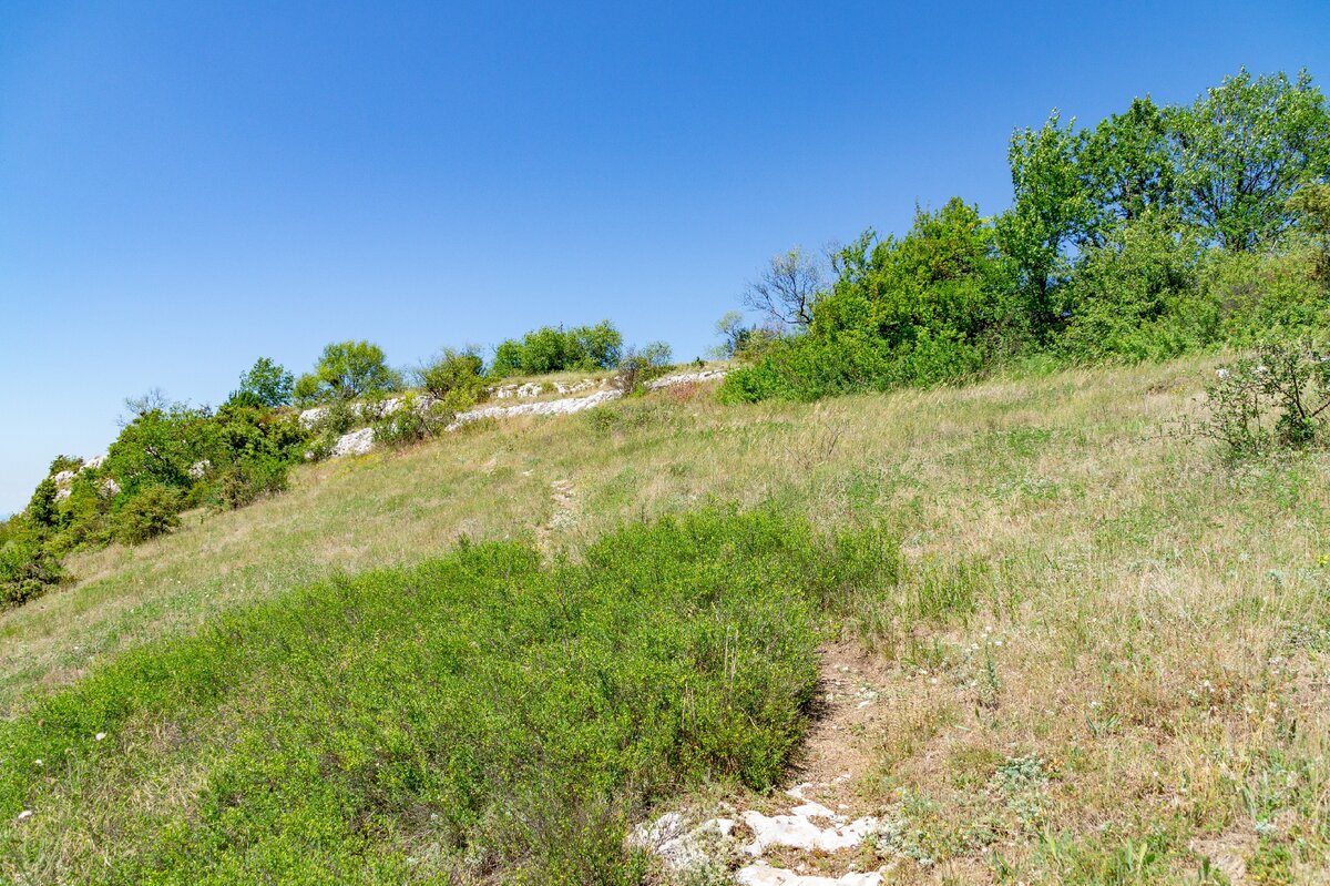2. Тропинка к мысу Элли-бурун. Впереди параллельные вытянутые скальники, хорошо заметные издалека (в них есть небольшие просветы, и тропа проходит именно через них).