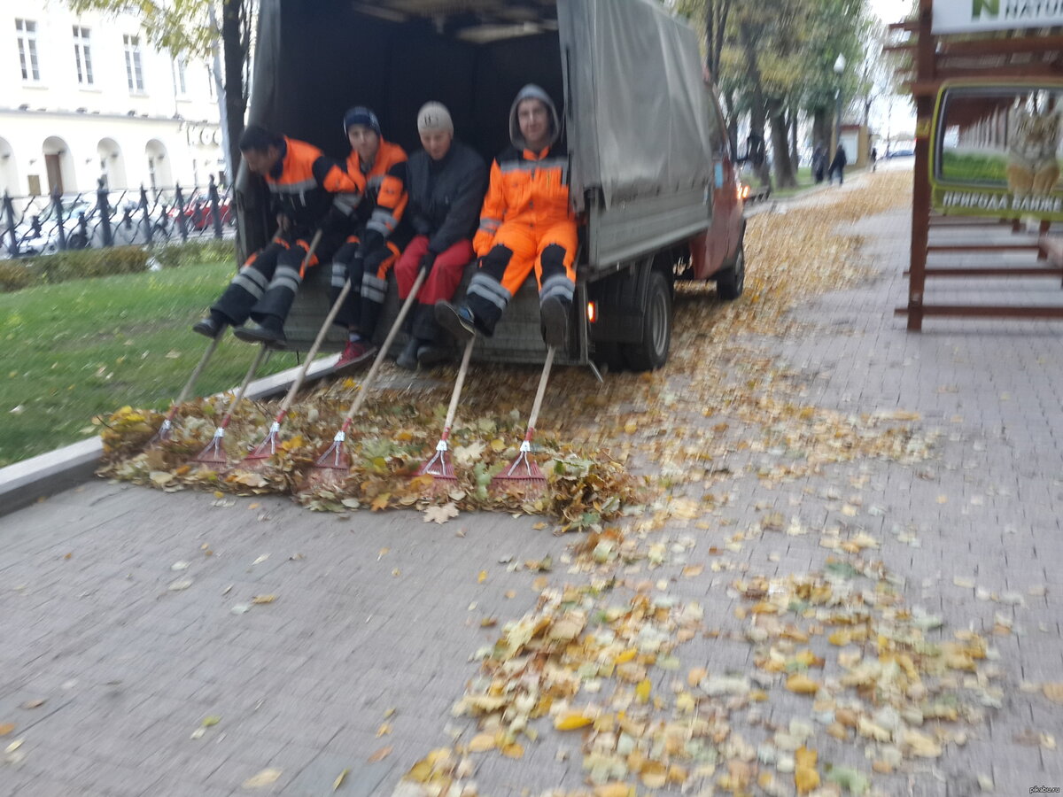 Источник фото: yandex.ru/images