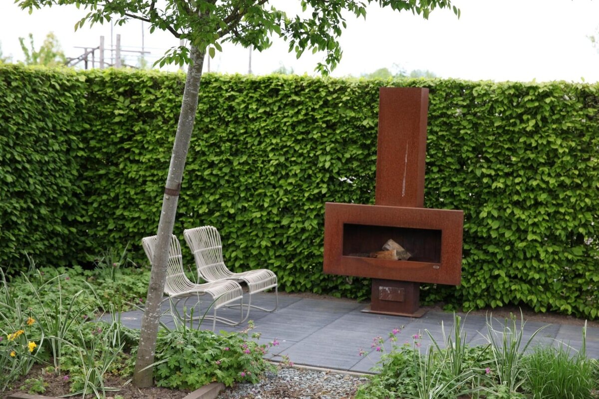 Изображение с сайта ландшафтной мастерской Ильи Лациса https://landshaftm.ru/