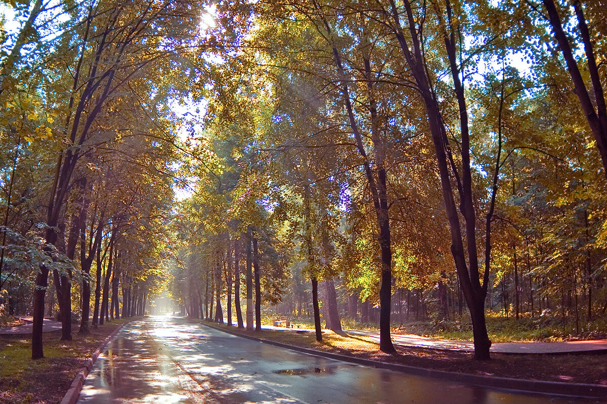 «Раннее утро в Сокольниках» Nikon D50+Зенитар-16