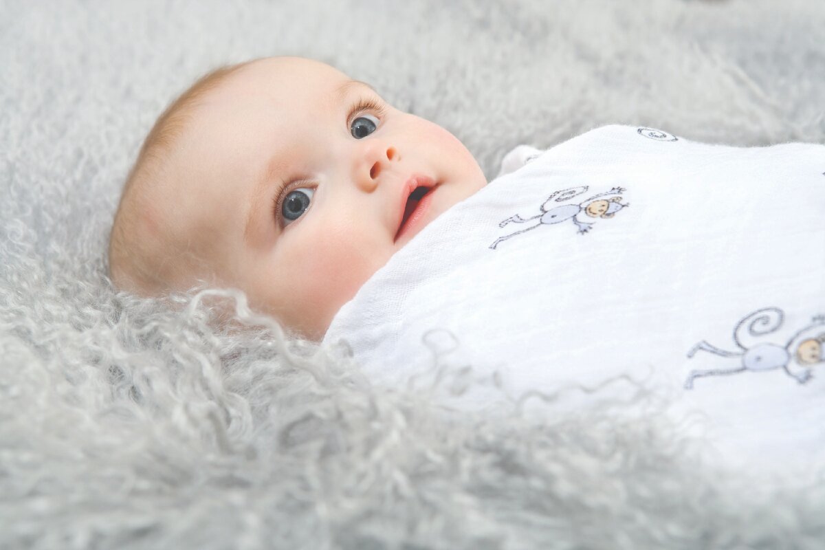 Источник: funart.pro