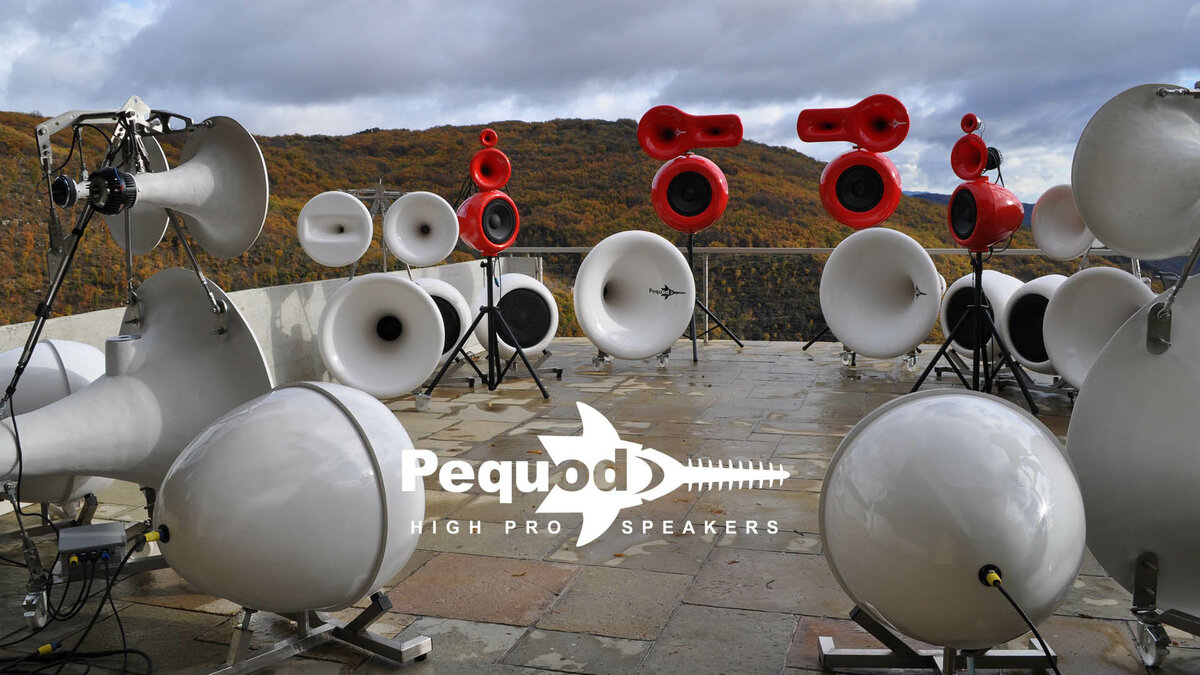 PEQUOD Acoustics 