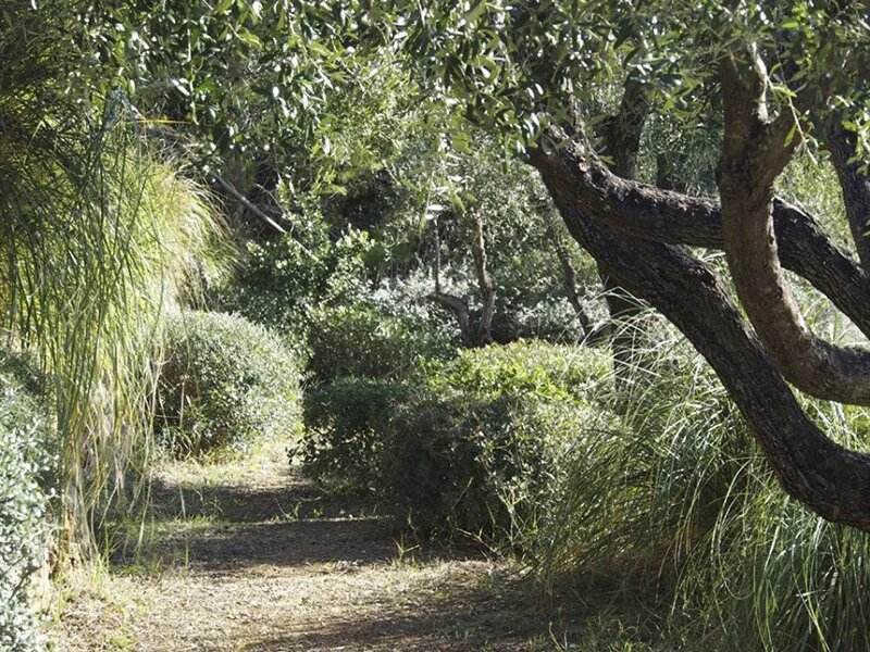 Фото: Hortensia Garden Design