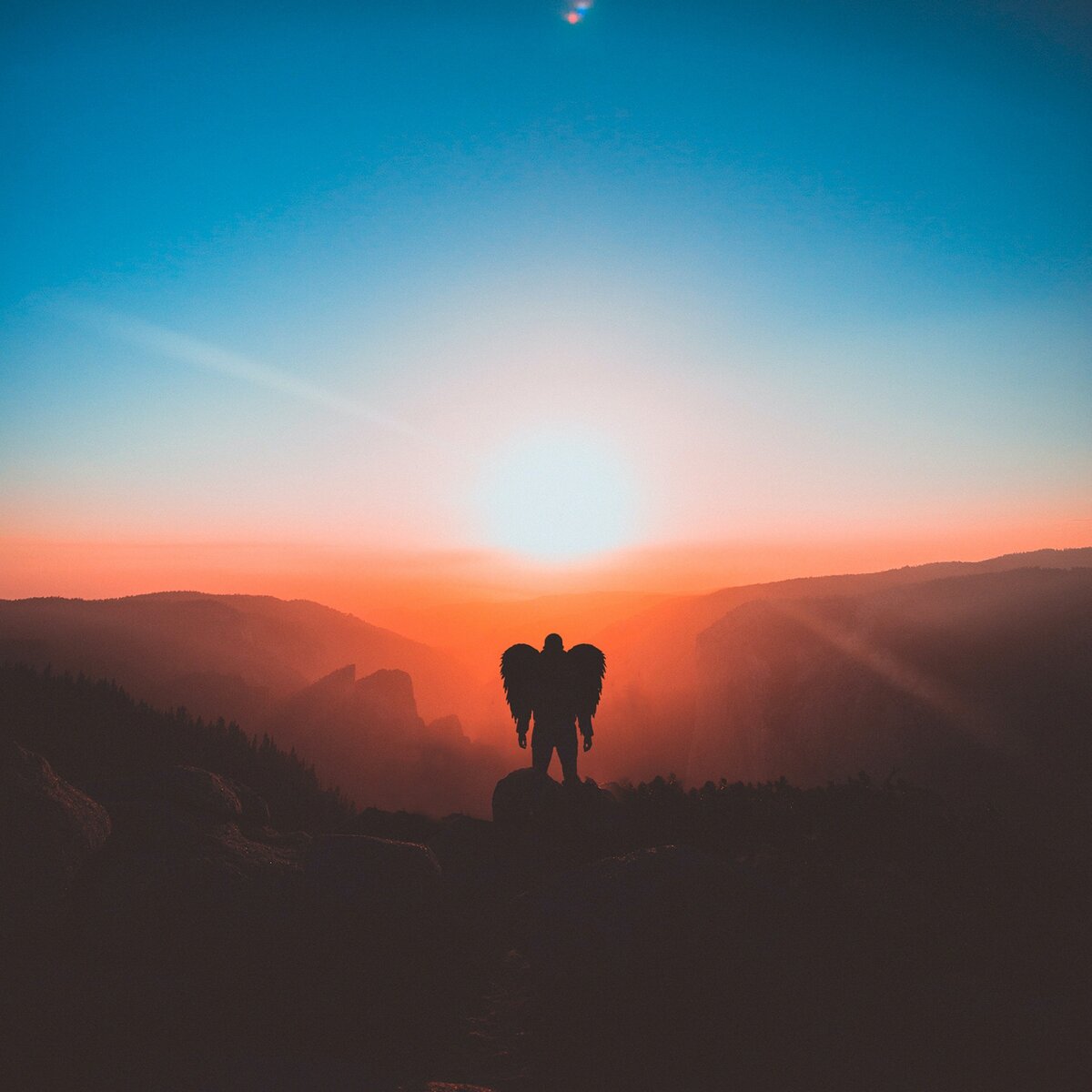 Фото автора Rakicevic Nenad: Pexels