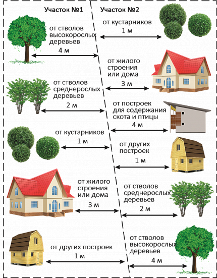 Шпаргалка по расположению построек и растений на соседних участках