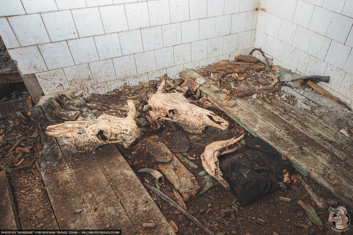 Объект: «Мёртвая Гора» С каждым шагом вглубь заброшенного советского бункера я находил всё новые кости... ☠?