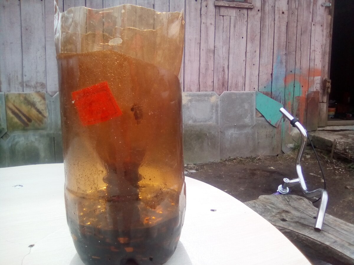 ловушка для ос