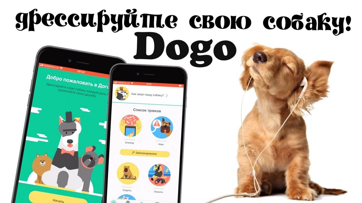 Нам с непослушной таксой очень помогло которая вовсе не хотела слушаться