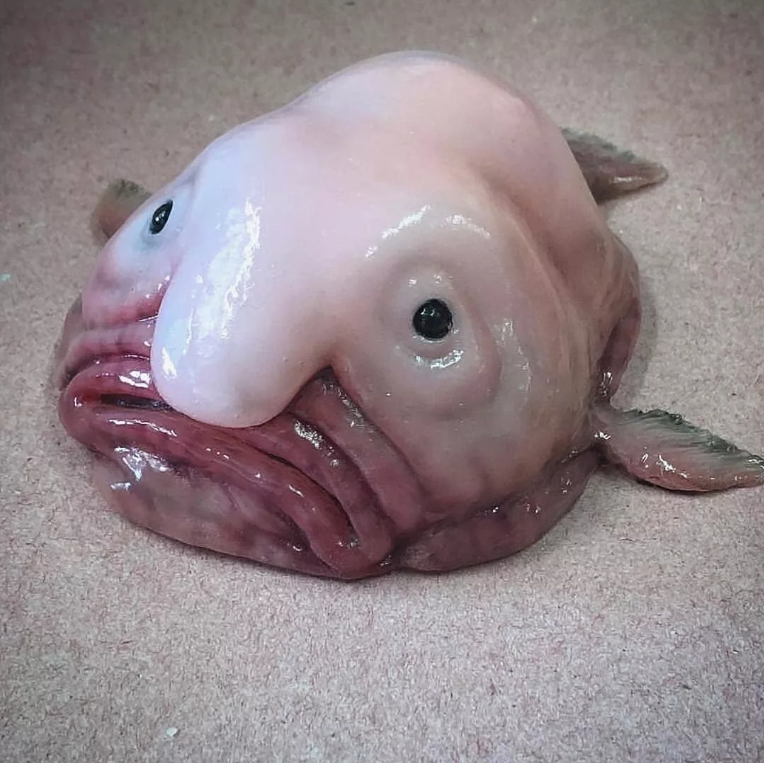 сточник - shnyagi.net