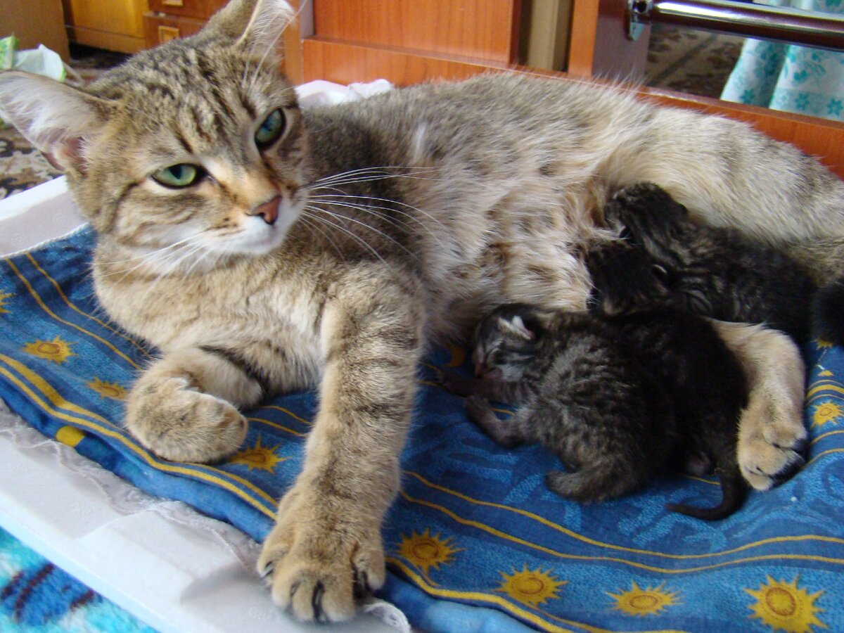 Новорождённые...