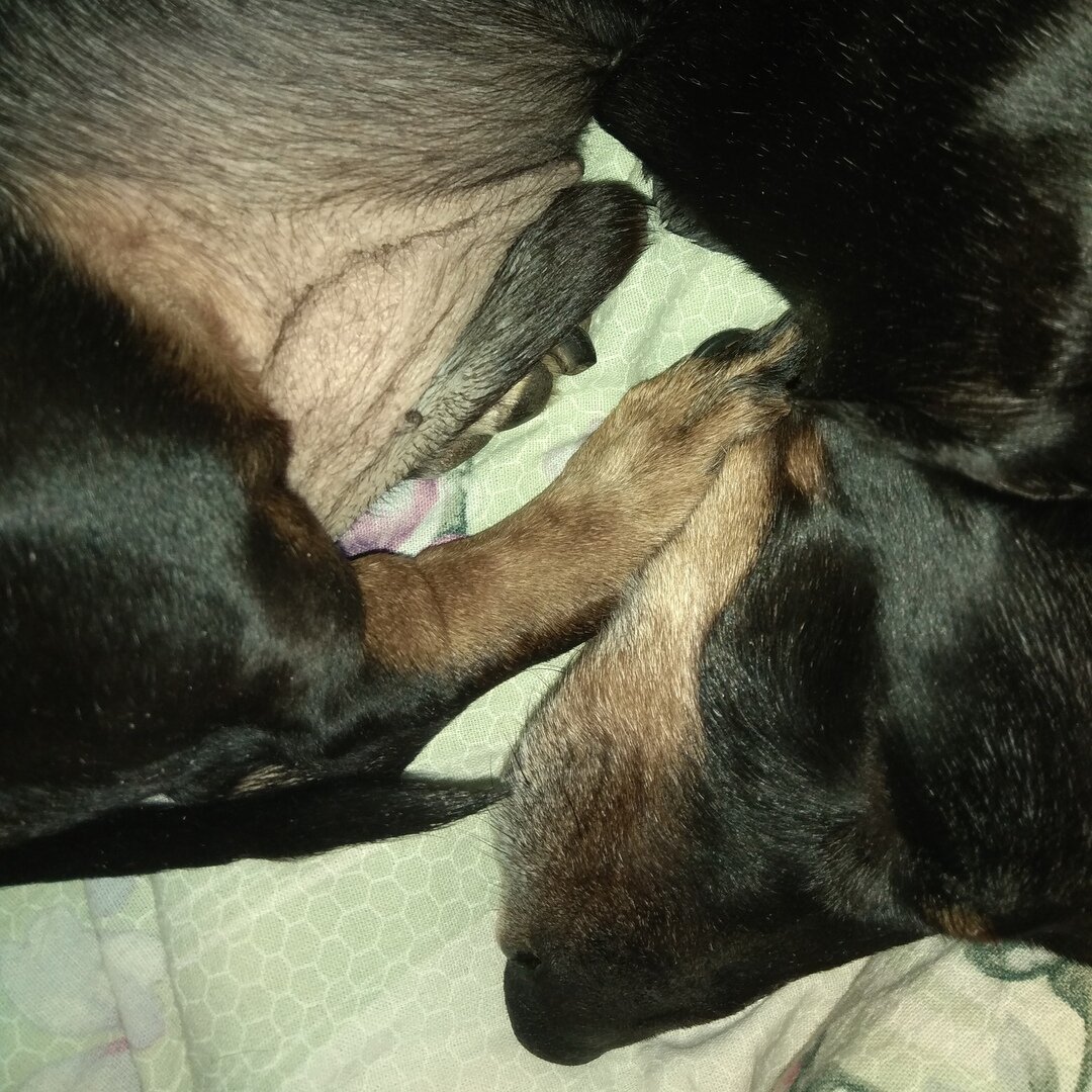 В рот мне ноги!