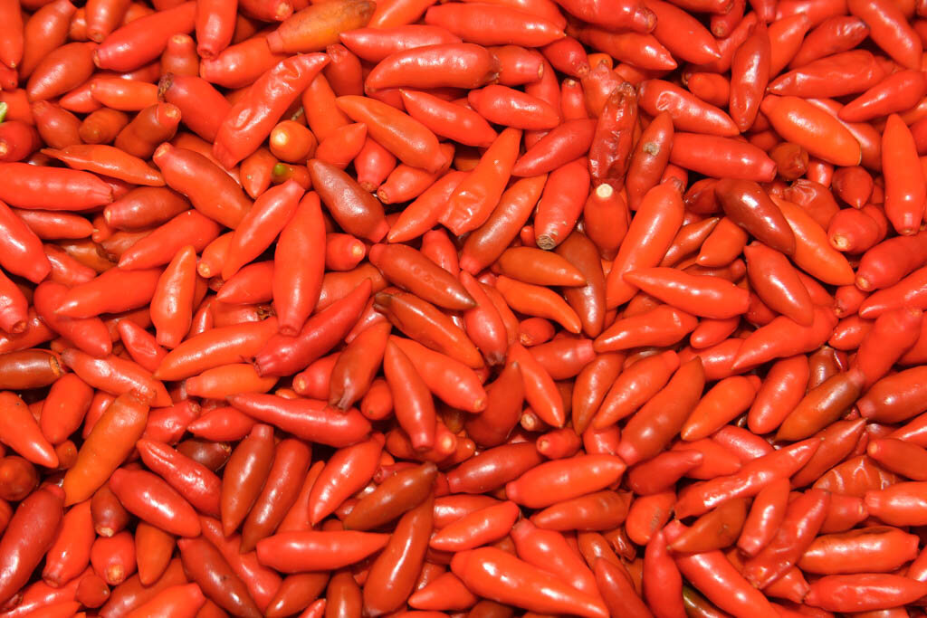 2. Рецепт активного вещества: два килограмма перца пили-пили заливаем кипятком. После того как остынет - сливаем рассол и снова доводим его до кипения. Опять заливаем перец. На следующий день жидкость готова к применению.