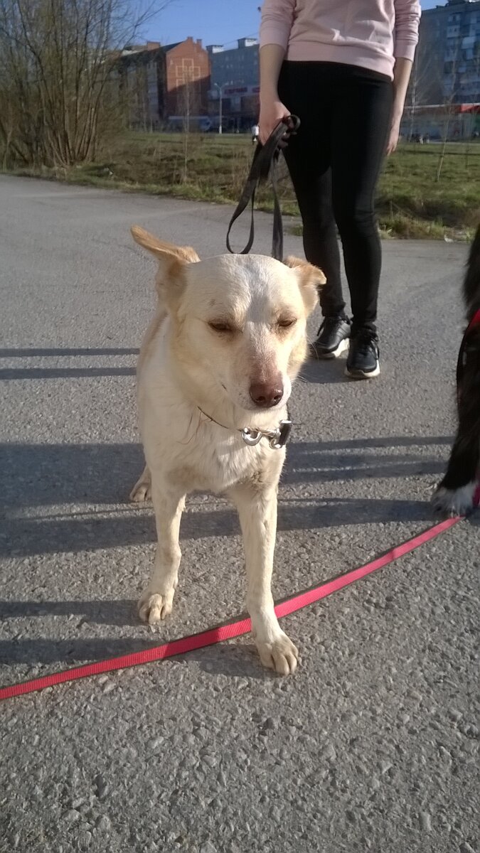 Так выглядит грусть