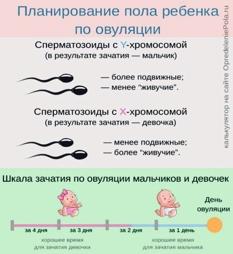 Коротко суть метода: мальчик получается в день овуляции, а за пару дней до неё девочка, тк XY шустрее, а XX живучее