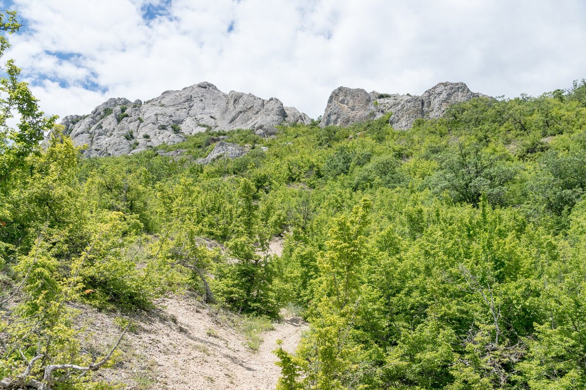 1. Нижняя часть тропы от турстоянки Эчки-даг на восточное плат хребта. Вокруг лиственные кусты. Впереди скальные обрывы горного массива. Крутой подъём начнётся чуть позже.