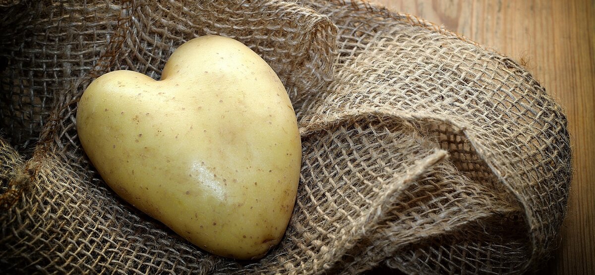 Картофель - кладезь полезностей