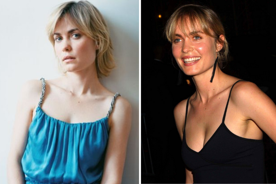 Австралийская актриса Рада Митчелл (фото - yandex.ru/images/)