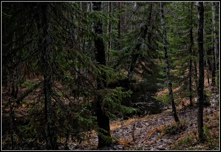 Яндекс картинки.