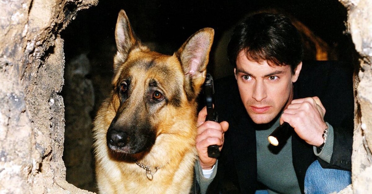 Комиссар Рекс