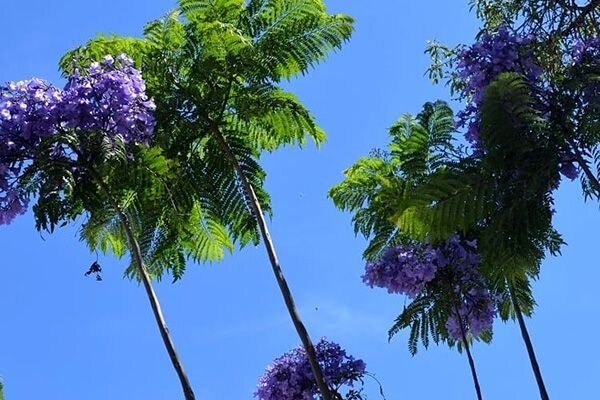 Май в Турции - очень благоприятное время для отдыха.
