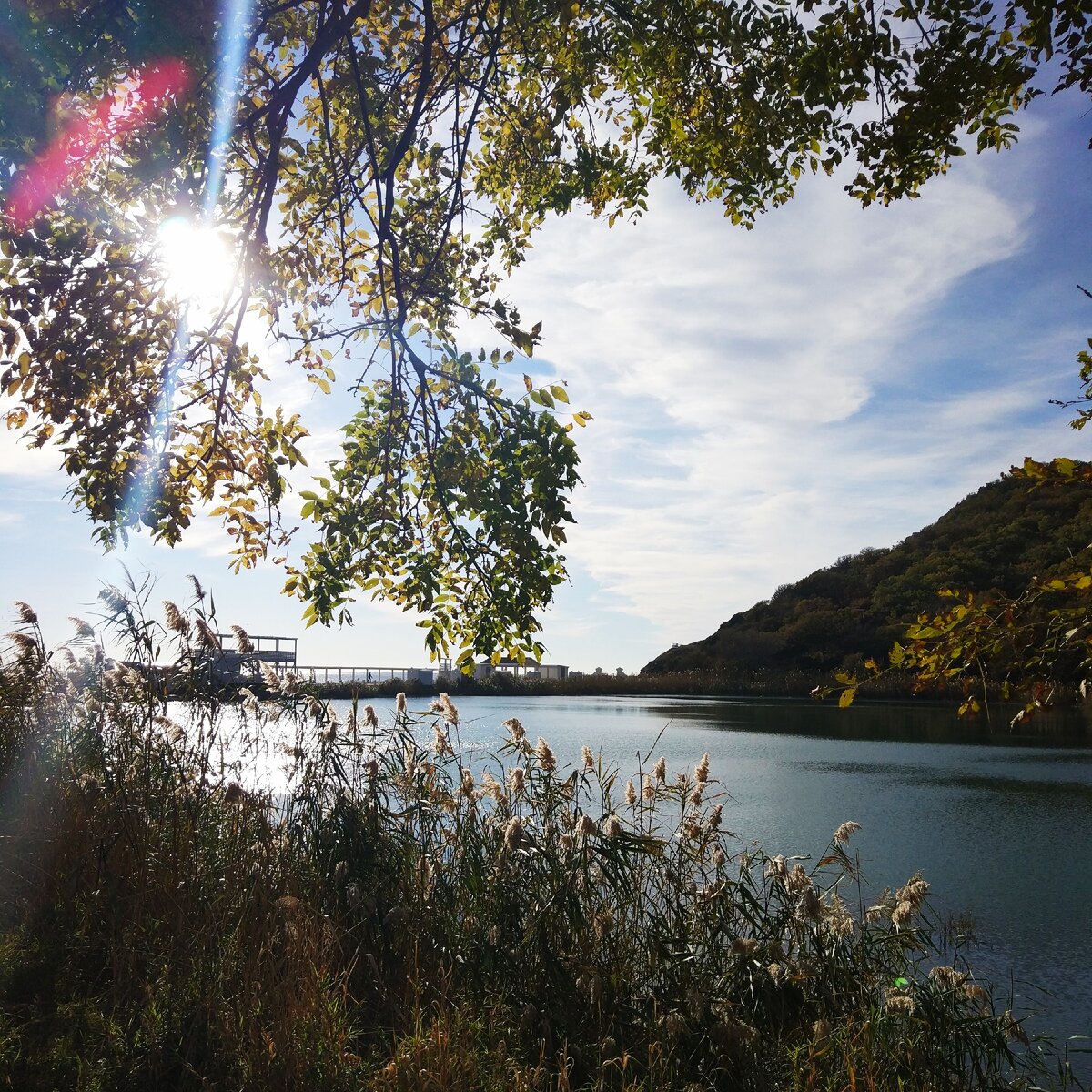 Красота вокруг нас.
Подписывайтесь на канал и ставьте лайк. 