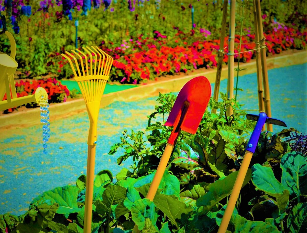  Фото с источника: https://clck.ru/RpMSM.