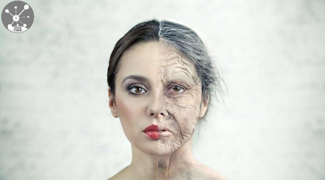 Клетка размножается делением, то есть, из старой клетки появляется новая. А если старая клетка получила некое повреждение, то и новой клетке она передаст это повреждение. Таким образом накапливаются поврежденные клетки, которые ведут к преждевременному старению и болезням.  
Когда мы болеем, то срок жизни очень многих клеток организма резко сокращается. Клетки погибают в борьбе с различными бактериями и вирусами, так человек стареет.

Вредно для наших клеток и попадание в организм различных токсических веществ — некачественной пищи и воды, спиртного, курения, отравляющих веществ, а также действие стрессов.  