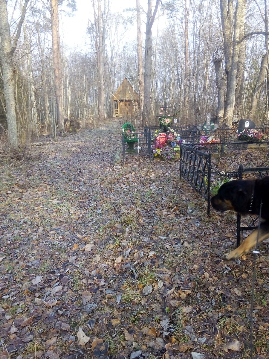 Дальше не ходили. 