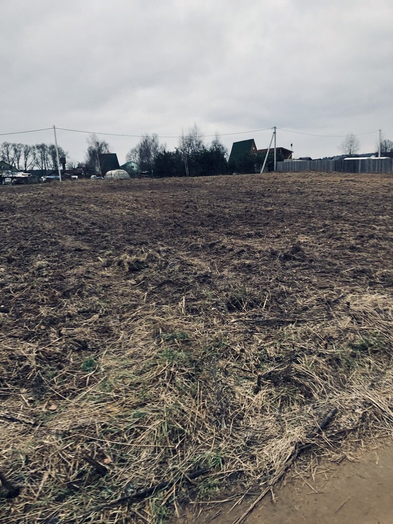 Купленный участок - скошенный и перекопанный. Фото автора.