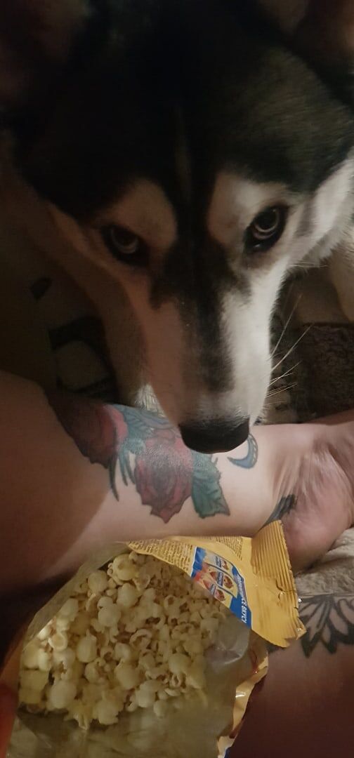 Что жуешь? Дай мне))