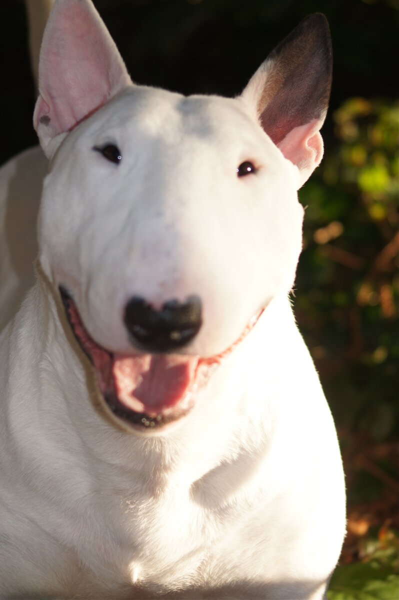 Источник: Яндекс картинки