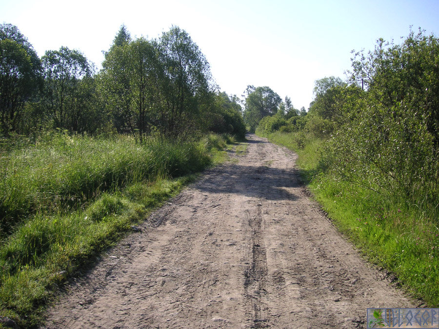 Дорога на деревню Песочня
