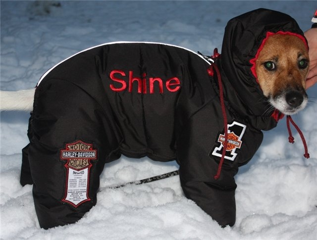 Ма, ну не надо надевать комбез, пацаны во дворе засмеют...