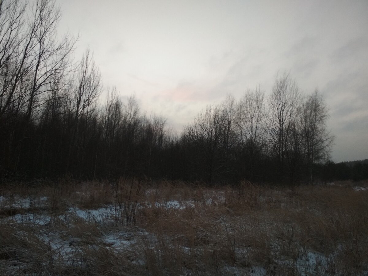 В лесу полно кислорода....
