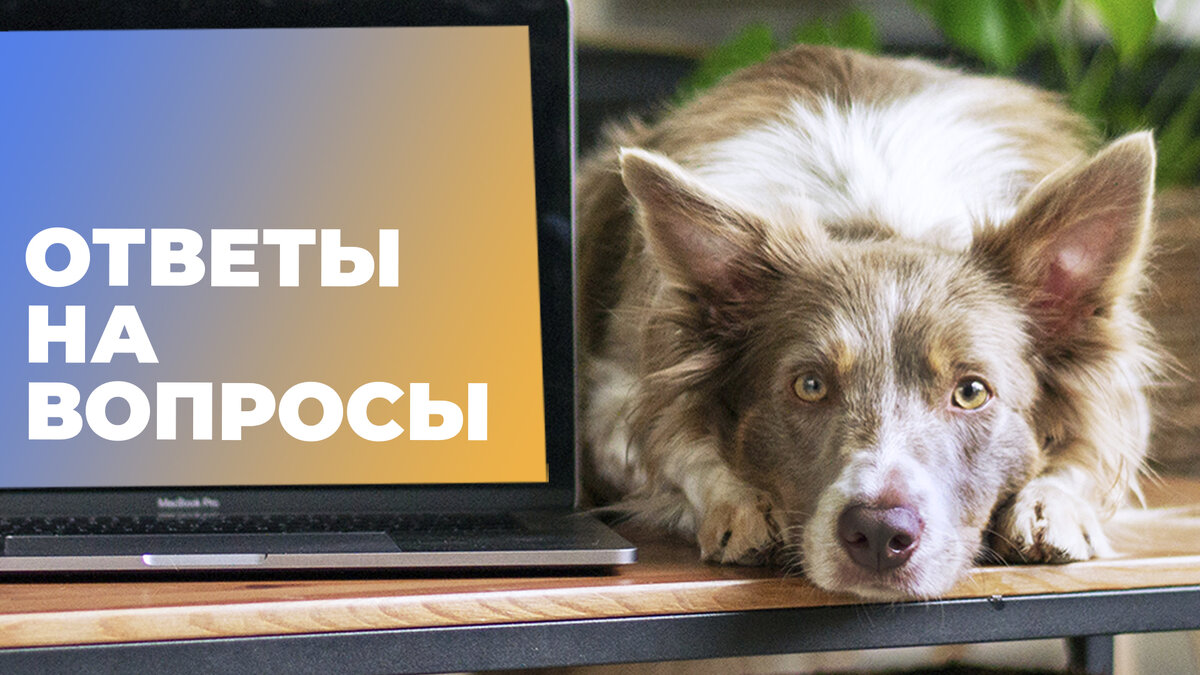 Отвечаем на самые актуальные вопросы