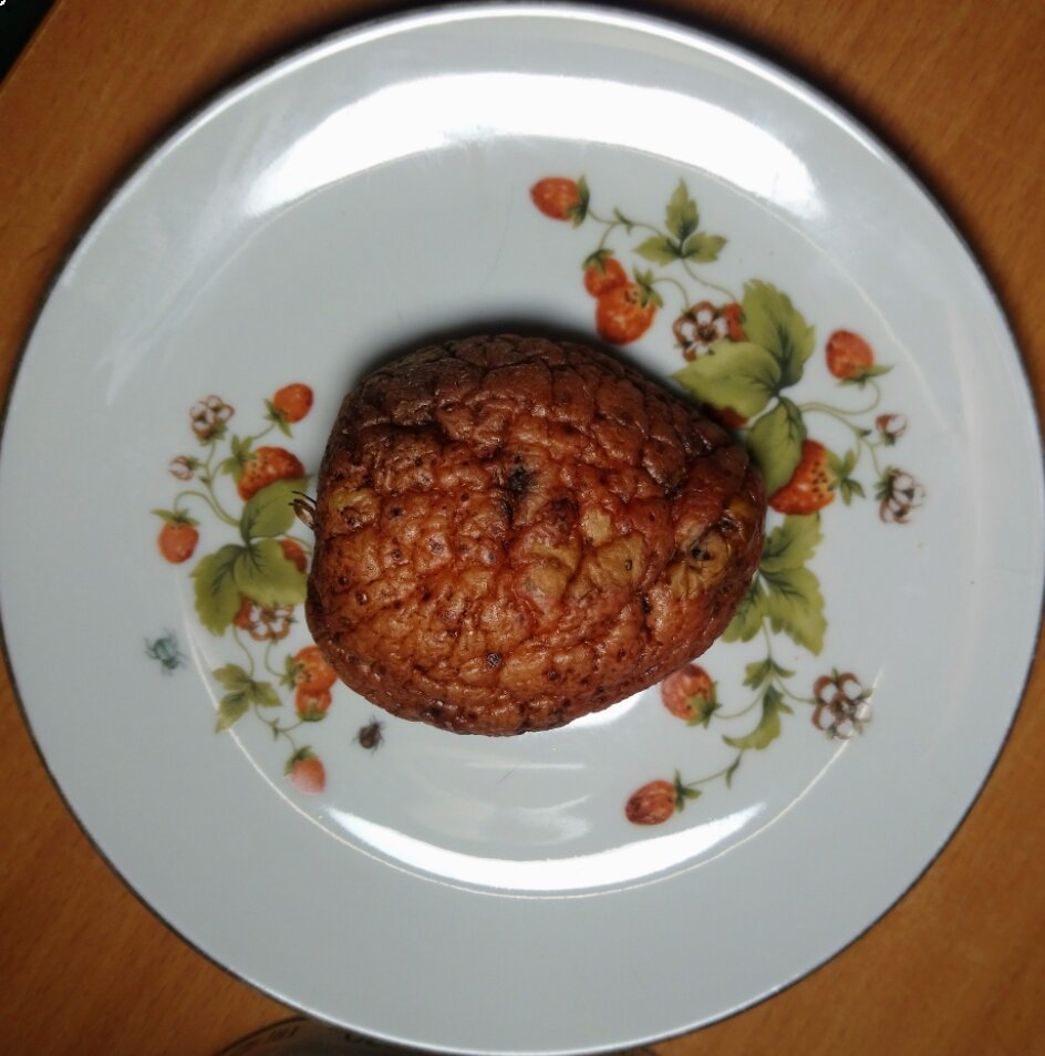 А это она же, после того, как коты играли ею два дня..