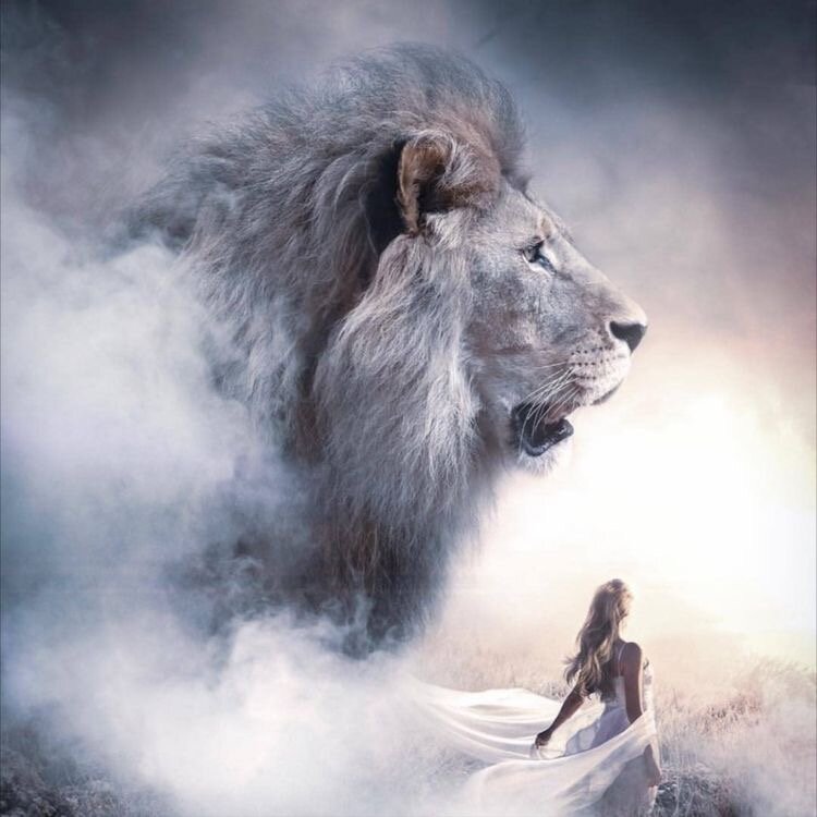 (Картинка из интернета)