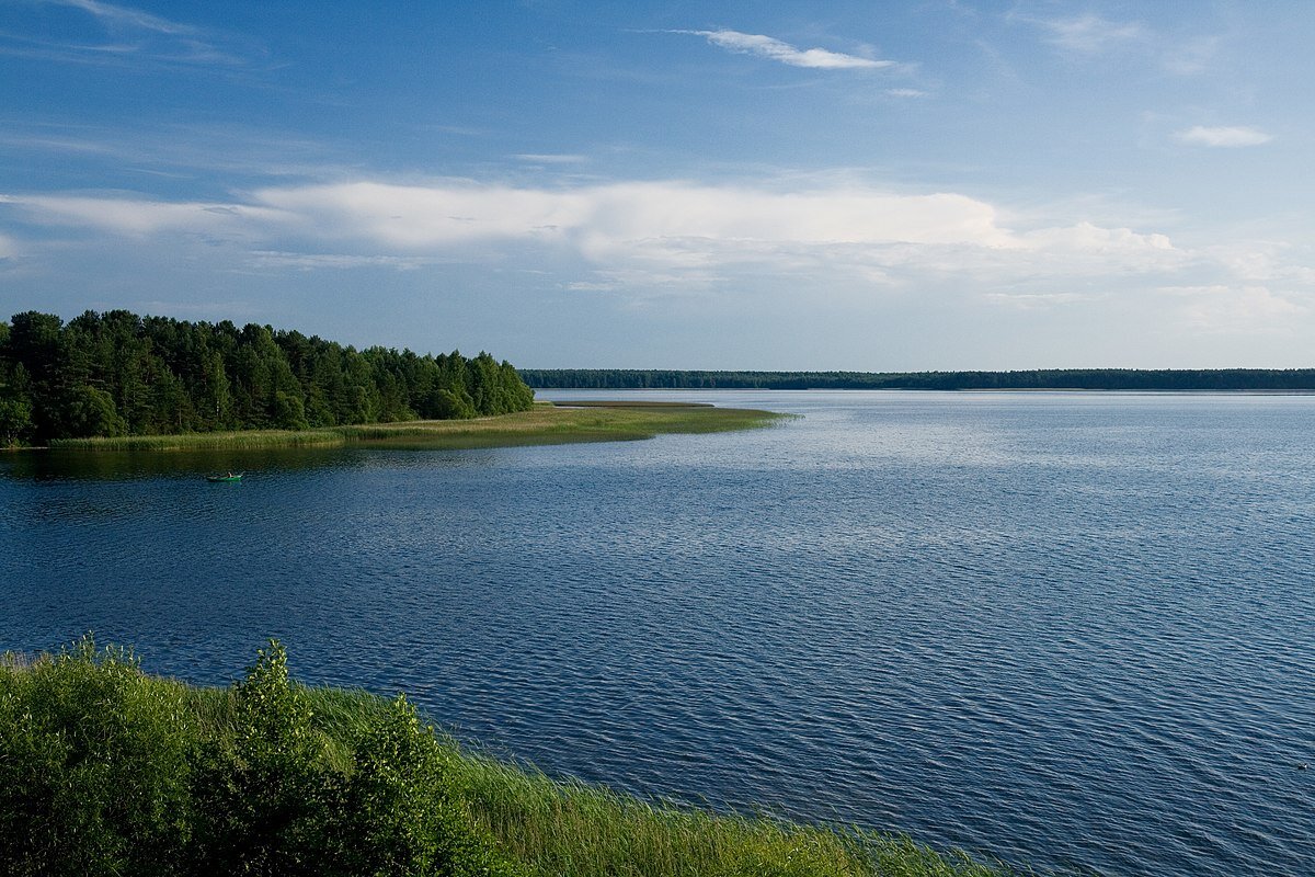 нарочанский парк