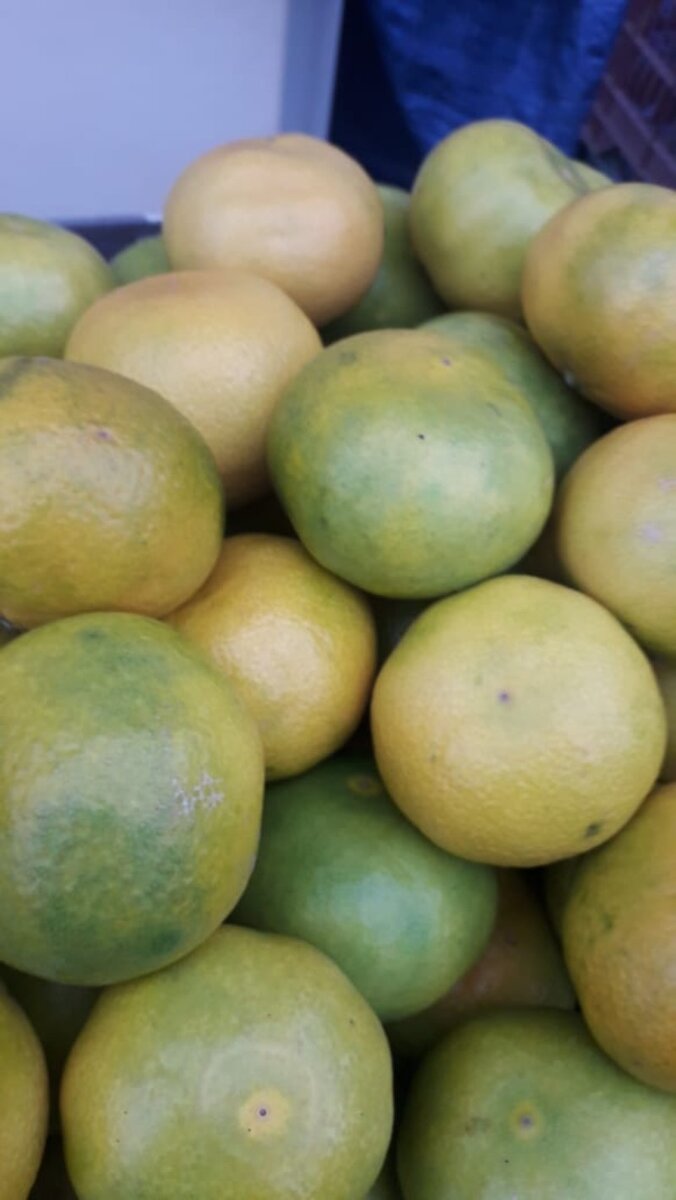 Вот примерно так они выглядели. Источник: https://s.optlist.ru/i/70/56/15df58ab8caa1661-7056-1.jpg