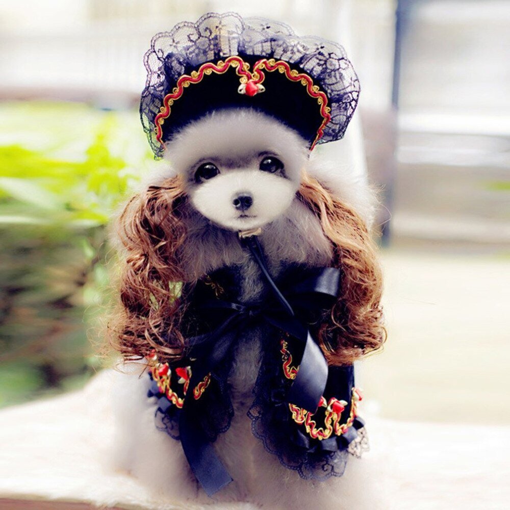 Яндекс картинки