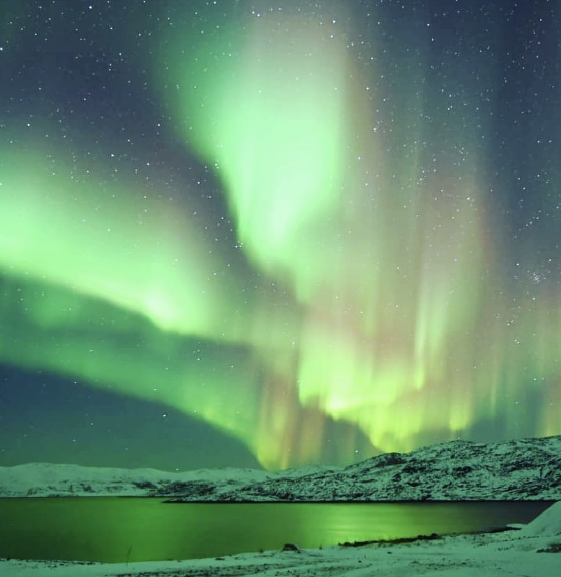 Фото: elena_kubantseva 