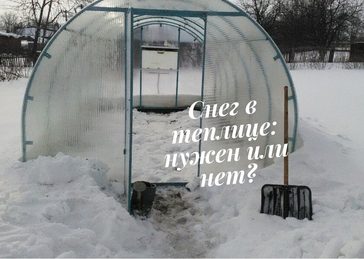 Нужен ли снег в теплице
